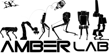 AMBER Lab